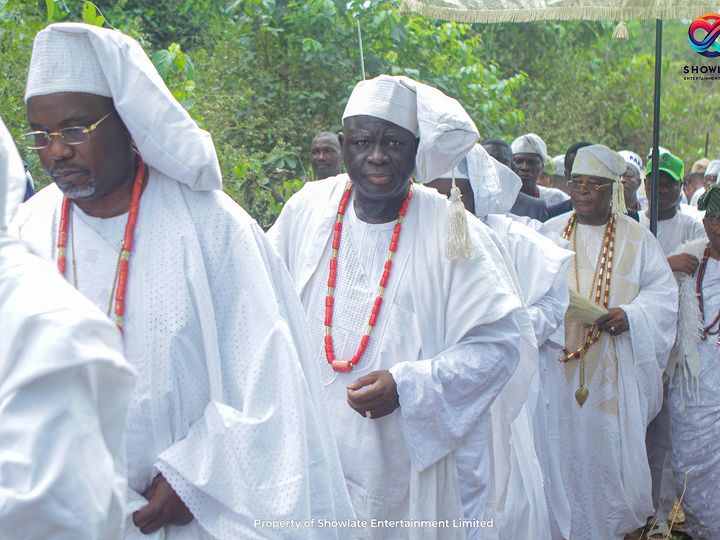 1_T-oHjF5EqMXgVZjhKtZYPA 1